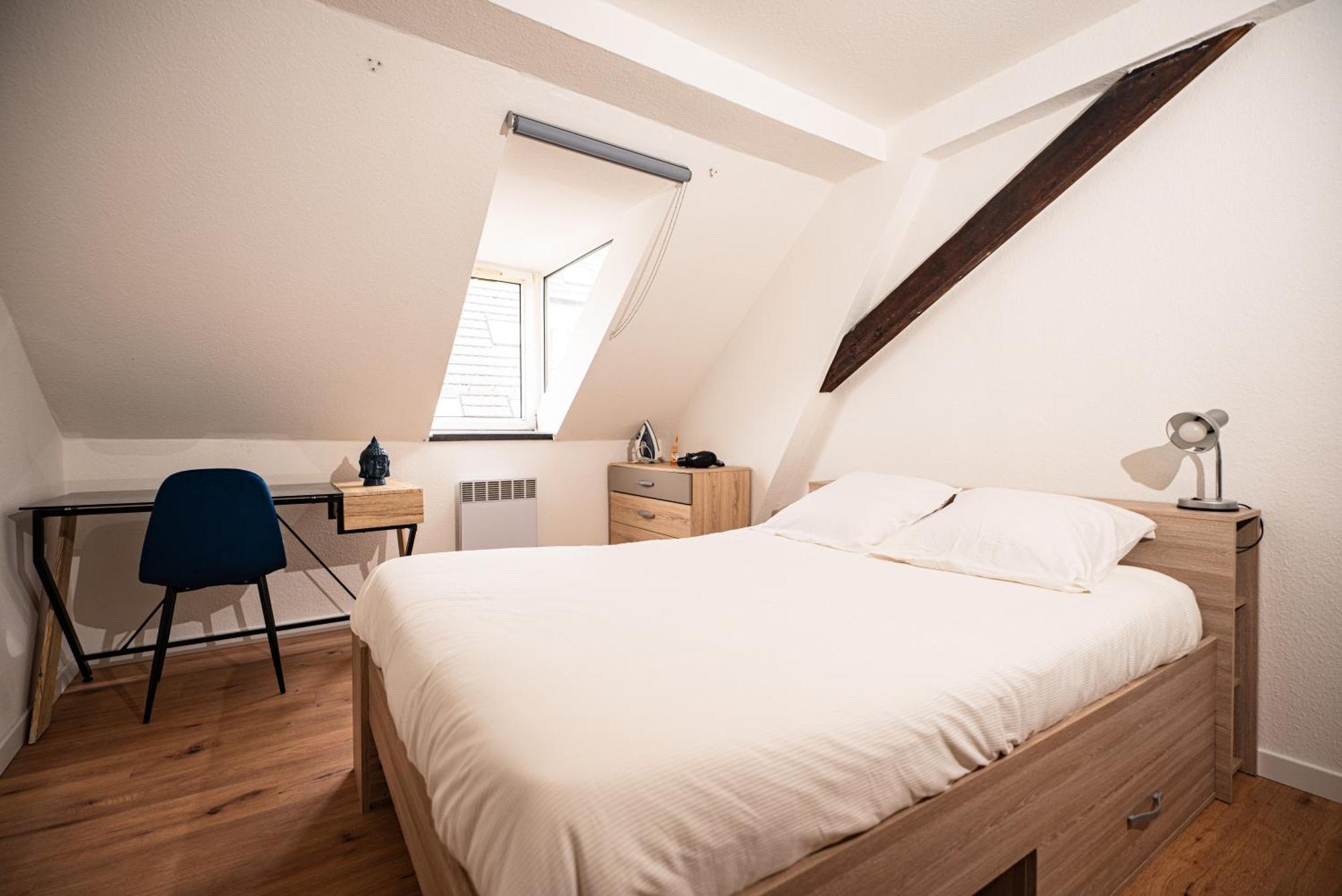 Apartment Moderne T2 Centre Sauna Wifi Office Netflix Straßburg